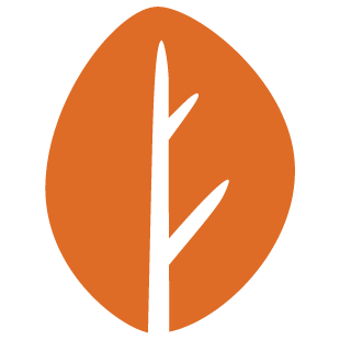 pixelgamese.com favicon